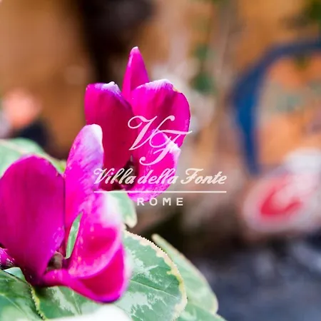 فندق مبيت وإفطار Della Fonte روما