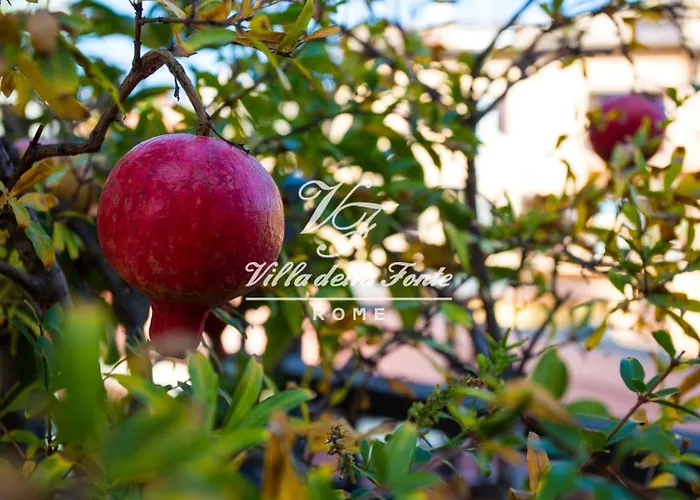 Nocleg ze śniadaniem Della Fonte 4*