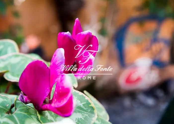 Nocleg ze śniadaniem Della Fonte Rzym